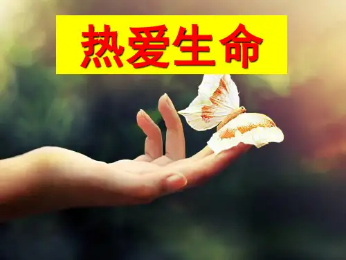 《热爱生命》蒙田课件