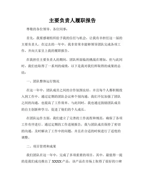 主要负责人履职报告