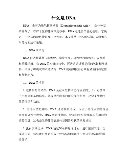 什么是DNA