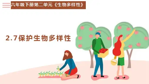 教科版六年级科学下册7保护生物多样性(课件)