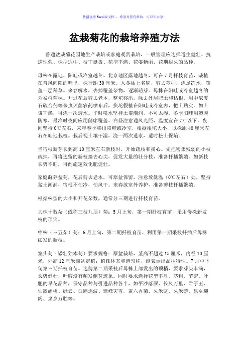 盆栽菊花的栽培养殖方法Word版