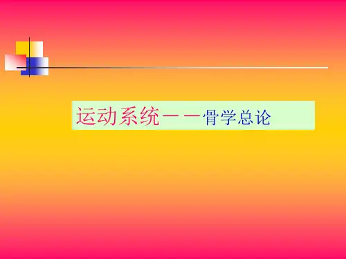 03-1运动系统--骨学总论