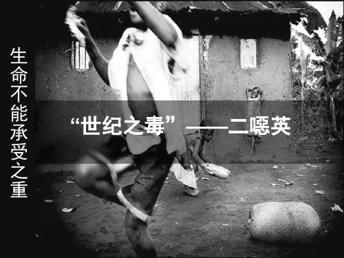 二恶英PPT