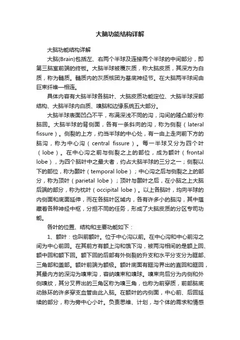 大脑功能结构详解
