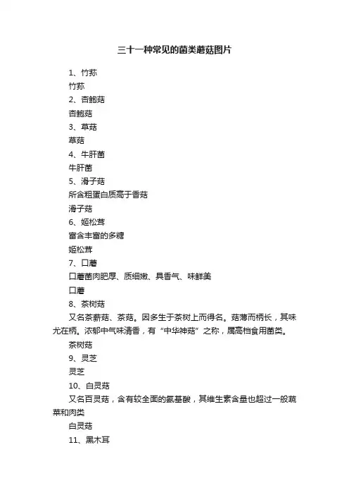 三十一种常见的菌类蘑菇图片