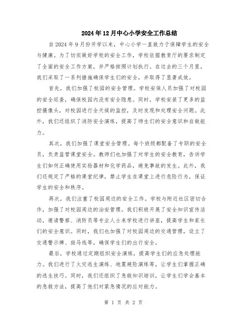 2024年12月中心小学安全工作总结