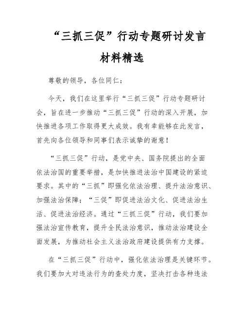 “三抓三促”行动专题研讨发言材料精选