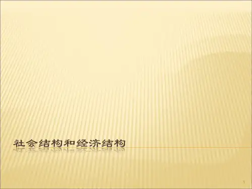 社会结构和经济结构ppt课件