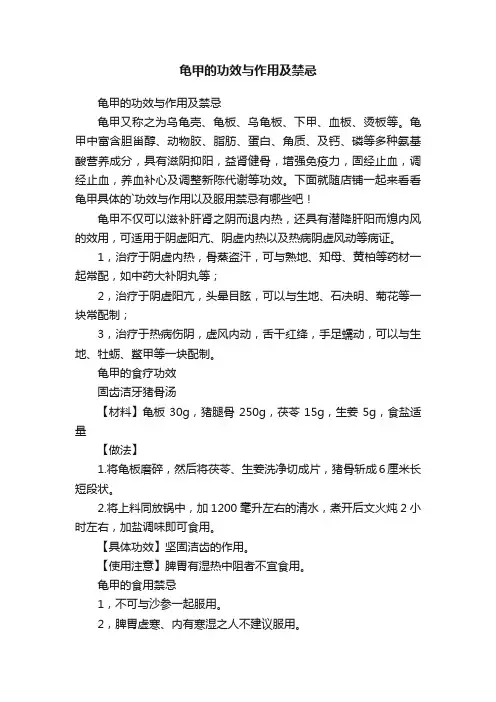 龟甲的功效与作用及禁忌