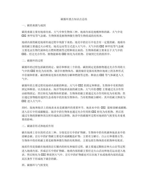 碳循环重点知识点总结