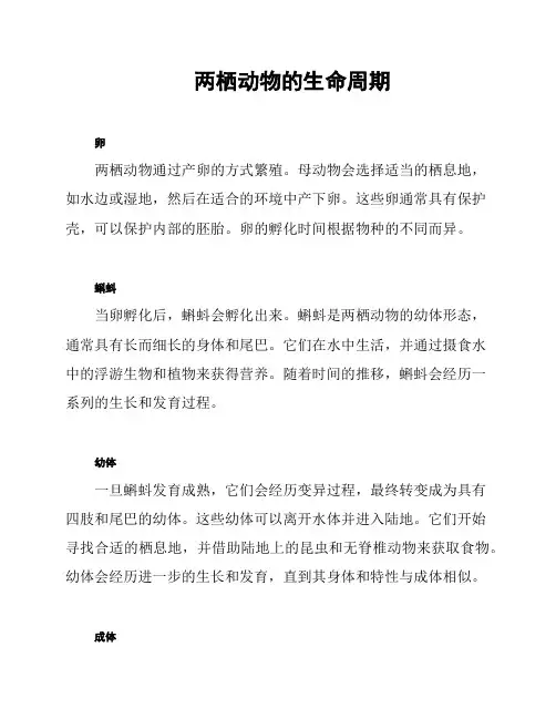 两栖动物的生命周期