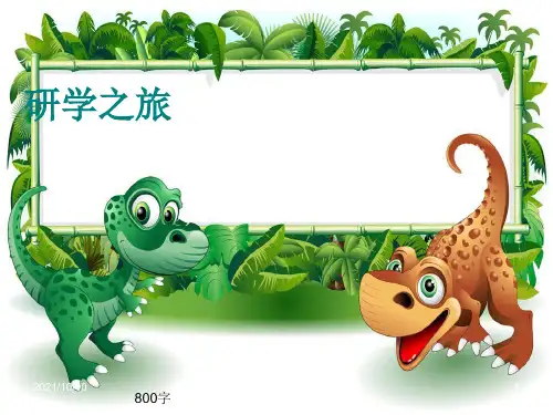 高一作文《研学之旅》800字(共12页)