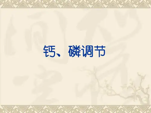 钙磷调节