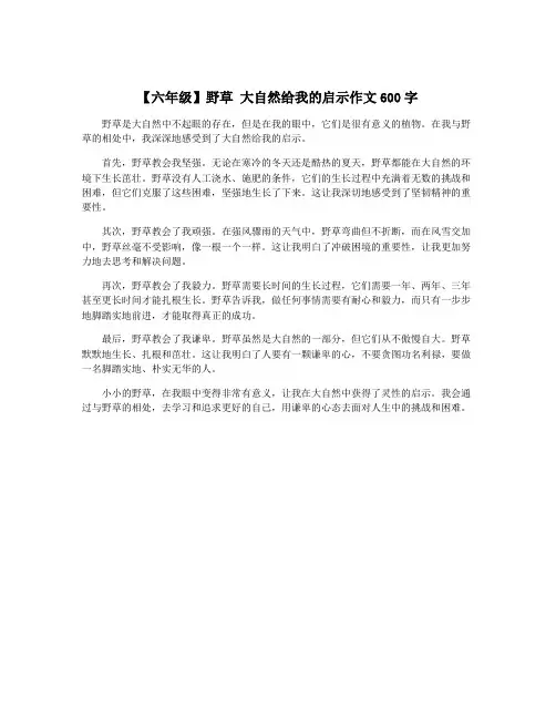 【六年级】野草 大自然给我的启示作文600字
