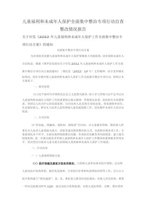儿童福利和未成年人保护全面集中整治专项行动自查整改情况报告