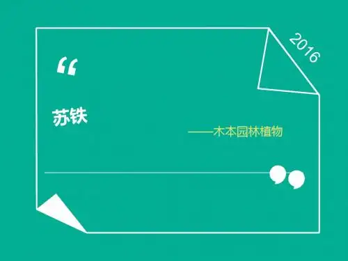 木本园林植物--苏铁