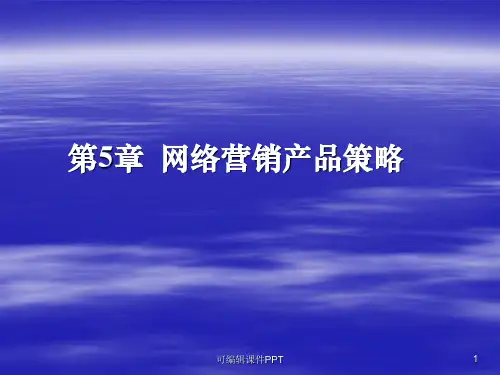 --网络营销产品策略PPT课件