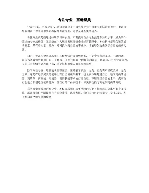专注专业  至臻至美