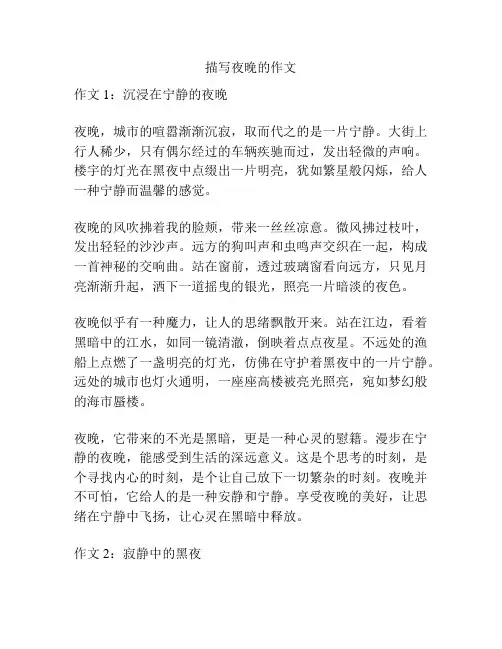 描写夜晚的作文