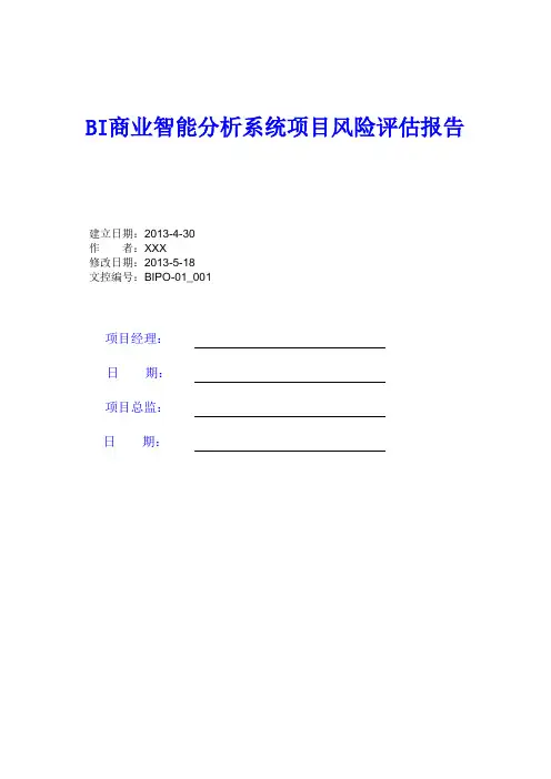 BI商业智能分析系统项目风险评估报告