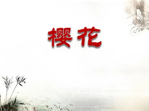 《樱花》PPT课件2