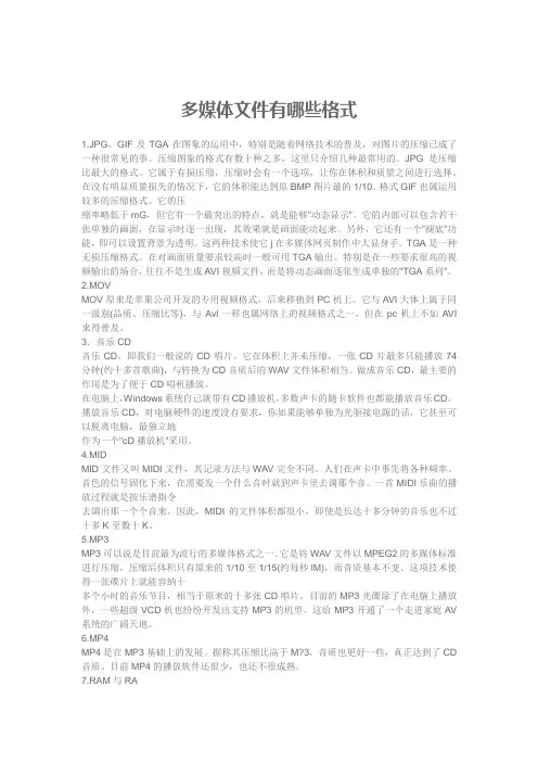 多媒体文件有哪些格式