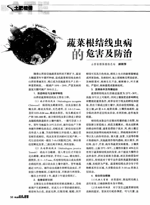 蔬菜根结线虫病的危害及防治