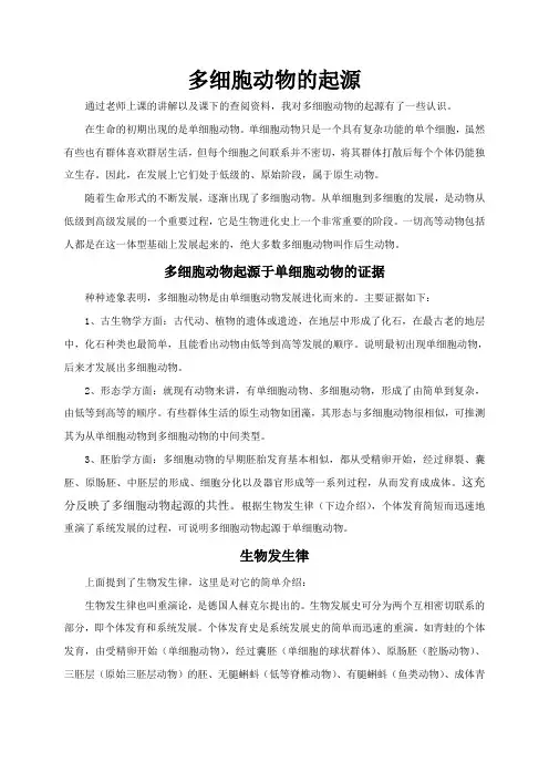 多细胞动物的起源