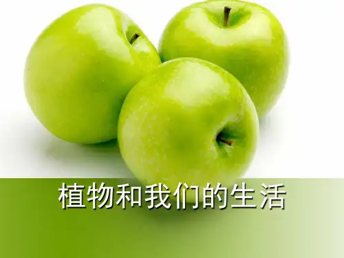 级下册第四章第1课《植物和我们的生活》课件