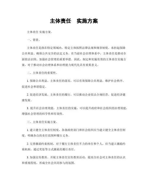 主体责任  实施方案