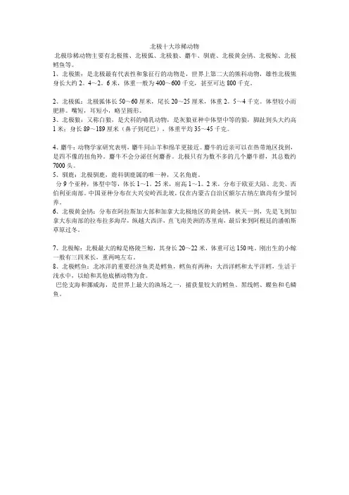 北极十大珍稀动物