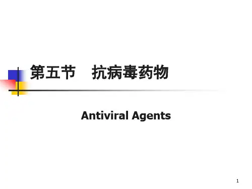 第五节 抗病毒药物.ppt