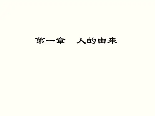 4.1人的由来复习课件 人教版生物七年级下册