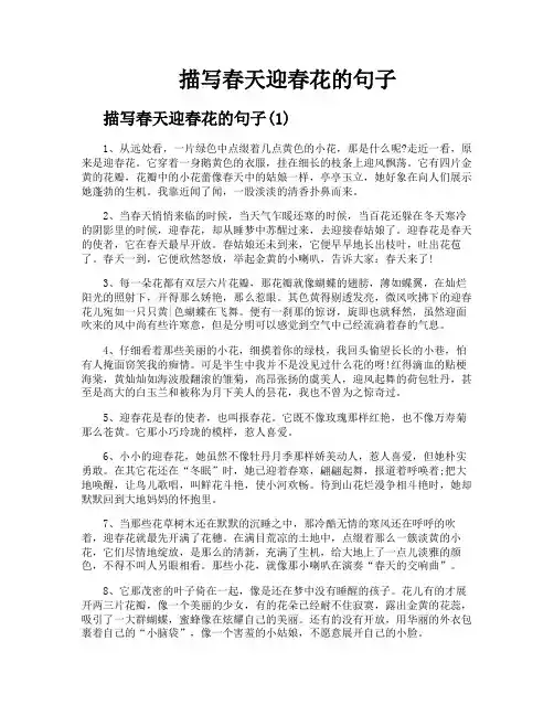 描写春天迎春花的句子