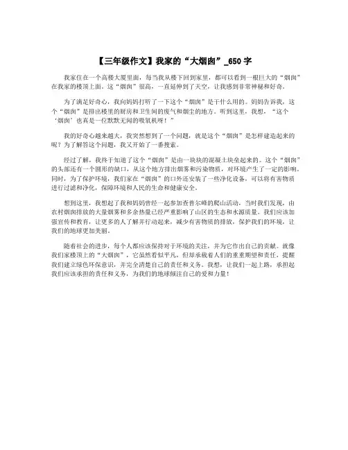 【三年级作文】我家的“大烟囱”_650字