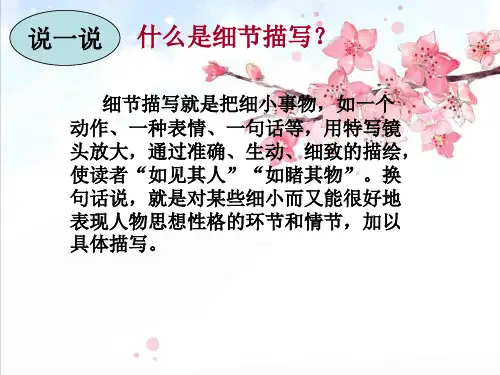 作文指导：细节描写(公开课)精品PPT课件