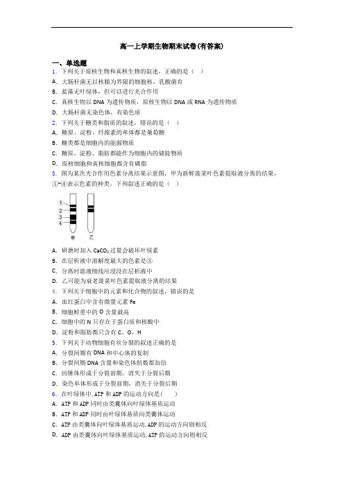 高一上学期生物期末试卷(有答案)