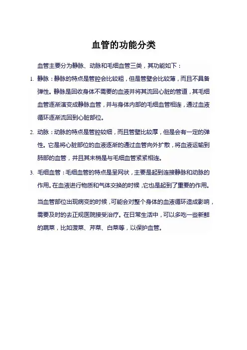血管的功能分类