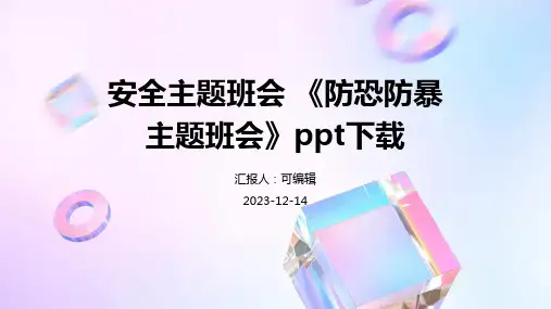 安全主题班会 《防恐防暴主题班会》PPT下载