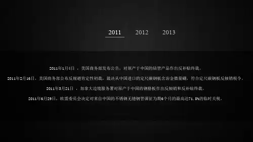中国国际贸易的反倾销案例分析