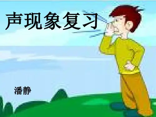 初中物理声现象复习ppt 人民版优秀课件