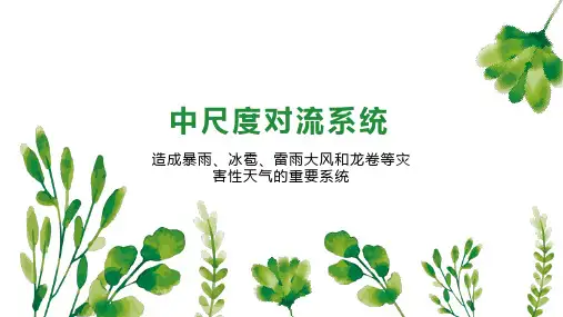 中尺度对流系统