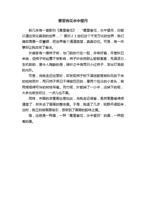 雾里看花水中望月