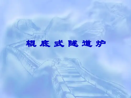 辊底式隧道炉简介
