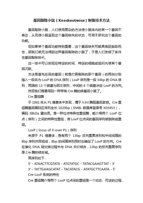 基因敲除小鼠（Knockoutmice）制备技术方法