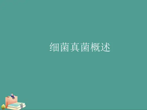 细菌真菌概述优秀ppt