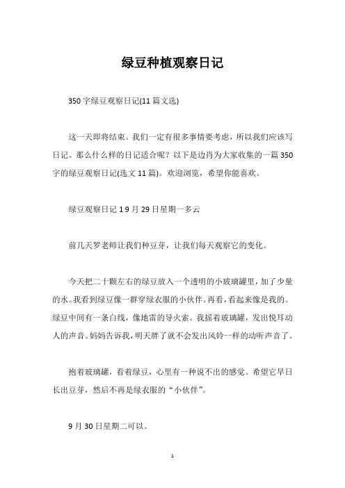 绿豆种植观察日记