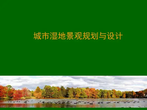 湿地公园规划与设计PPT课件