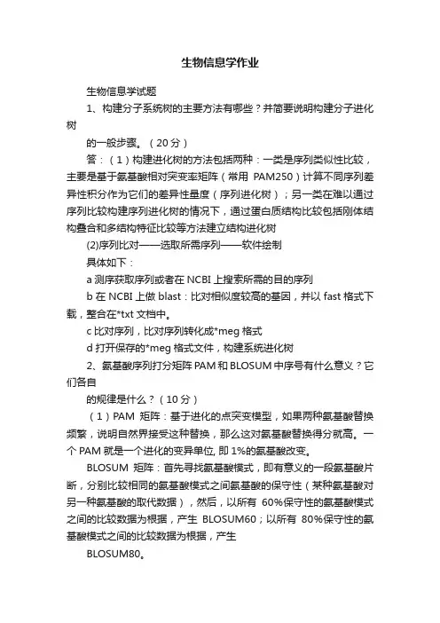 生物信息学作业
