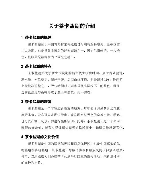 关于茶卡盐湖的介绍